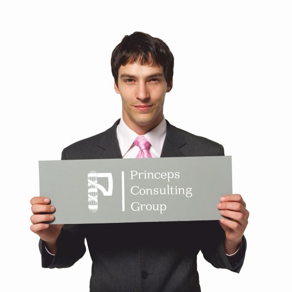 Фирменный стиль «Princeps Consulting Group» – процесс